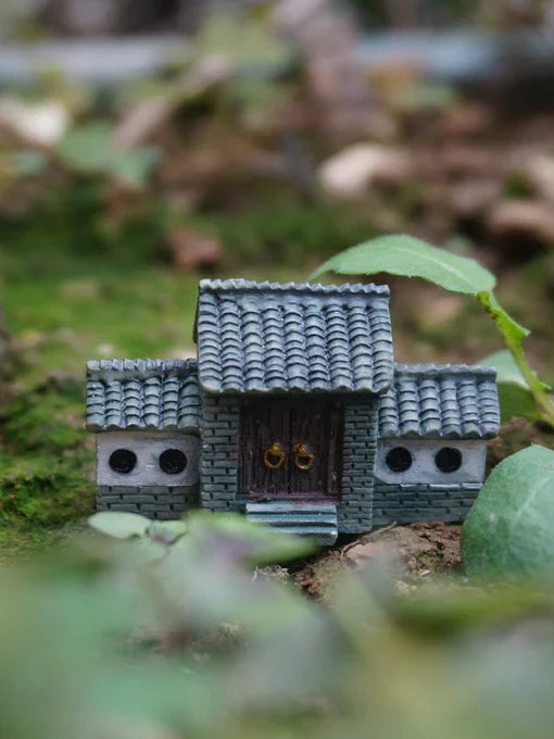 Chinese Micro Landscape