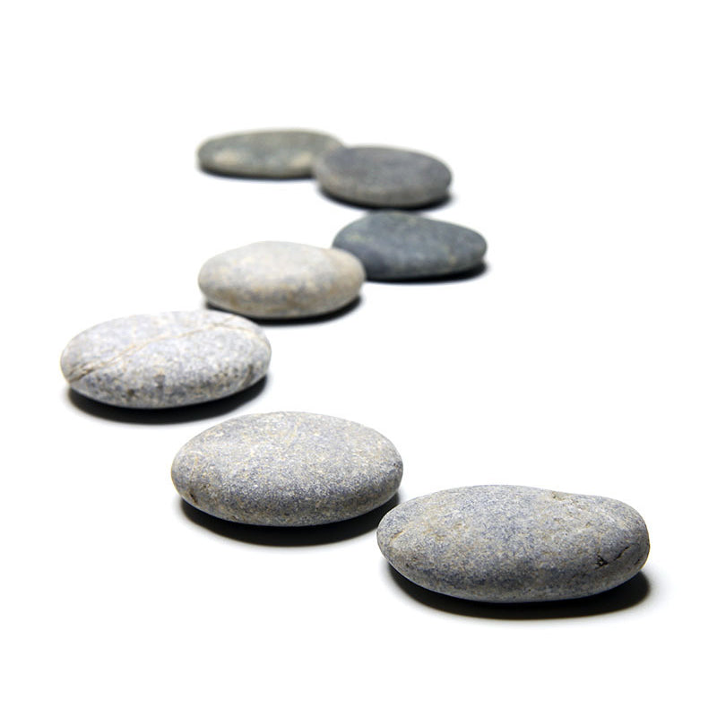 10pcs Natural Mini Pebbles Stepping Stones for Fairy Garden Terrarium Path Decor
