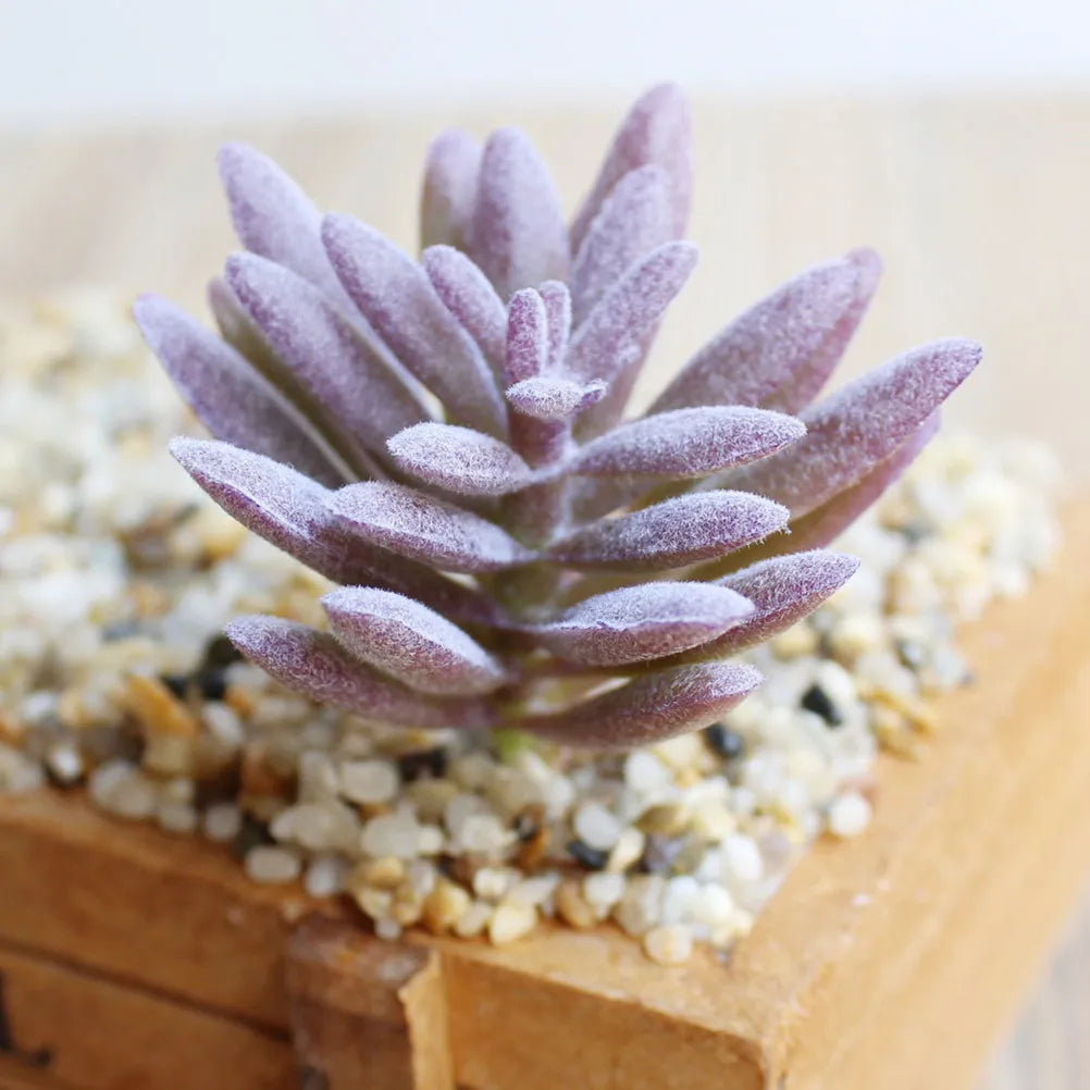 7pcs Artificial Succulents Unpotted Realistic Faux Cactus for Home Garden Decor