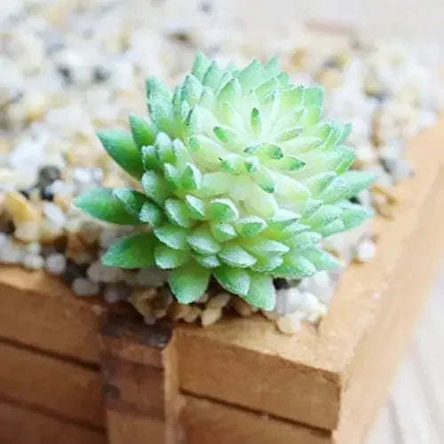 7pcs Artificial Succulents Unpotted Realistic Faux Cactus for Home Garden Decor