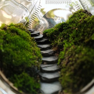 10pcs Natural Miniature Stepping Stones for Fairy Garden Terrarium DIY Path Decor