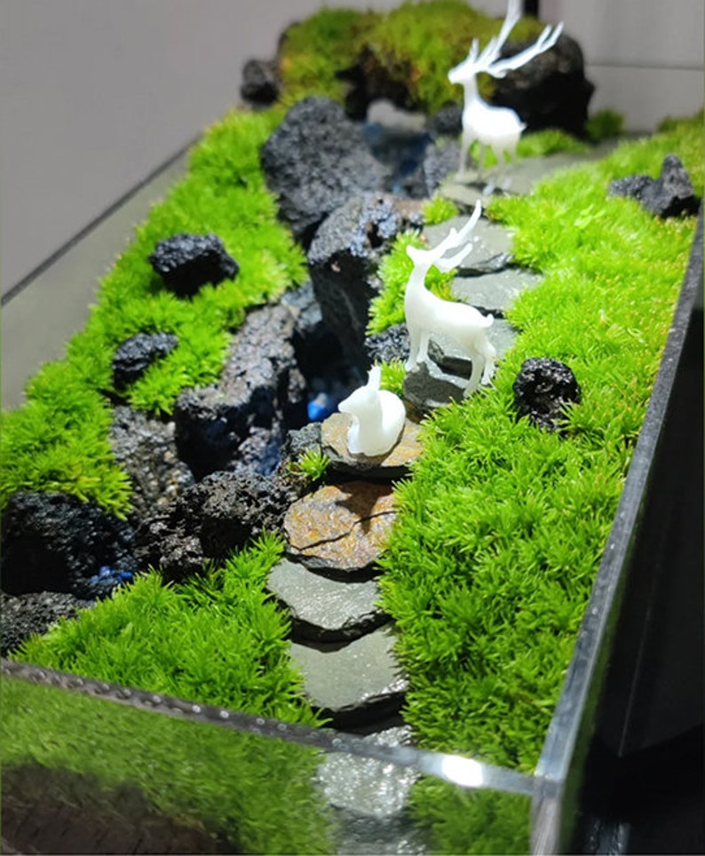 10pcs Natural Miniature Stepping Stones for Fairy Garden Terrarium DIY Path Decor